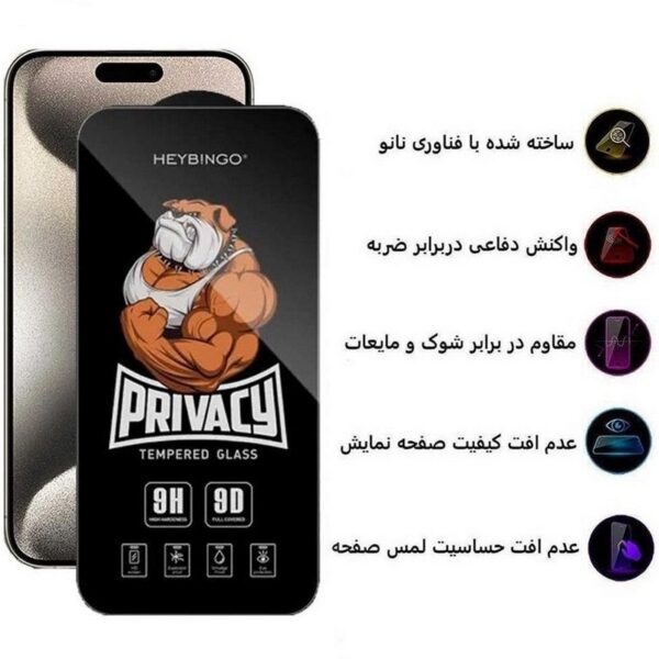 گلس محافظ صفحه نمایش حریم شخصی (پرایویسی) مدل Privacy Hey Bingo مناسب برای گوشی موبایل اپل iPhone XS MAX / 11 pro max